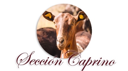 Sección Caprino Caprinova Sección Caprino